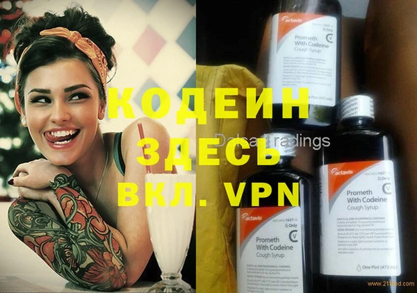 прущие грибы Майский