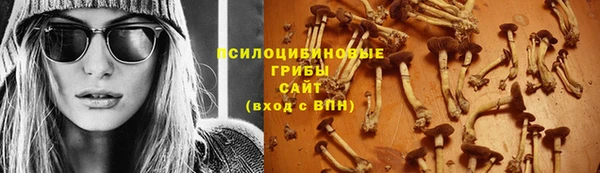 мдпв Медвежьегорск