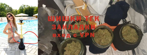 прущие грибы Майский