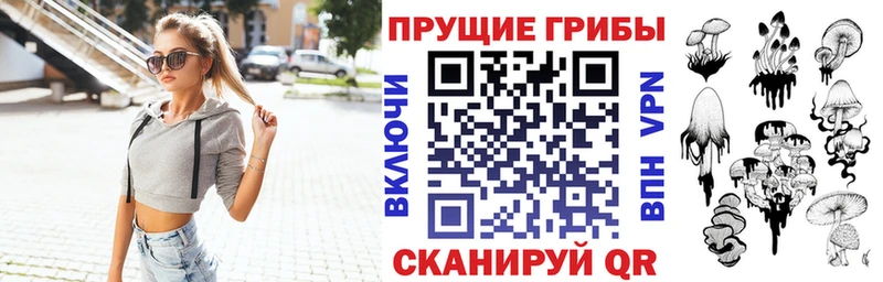 купить наркоту  Узловая  Псилоцибиновые грибы мухоморы 