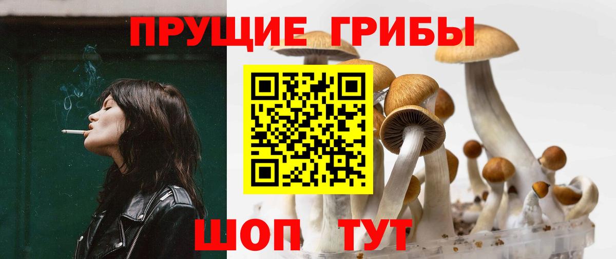 Псилоцибиновые грибы Magic Shrooms Узловая