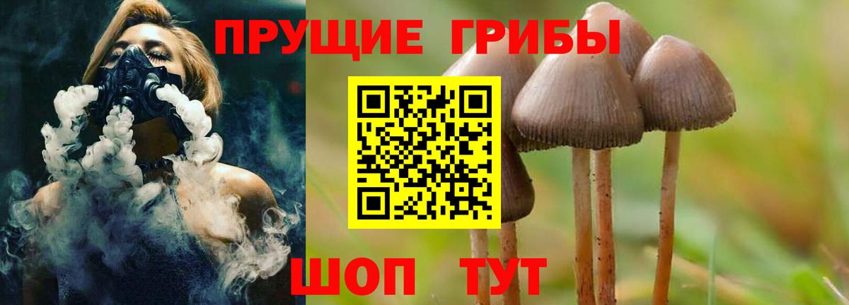 Псилоцибиновые грибы мухоморы  Вход с VPN  Узловая  Псилоцибиновые грибы мицелий 